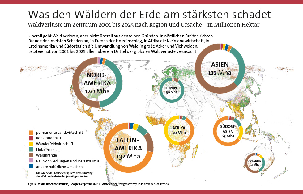 Weltkarte mit Torten zu Waldverlusten und ihren Ursachen