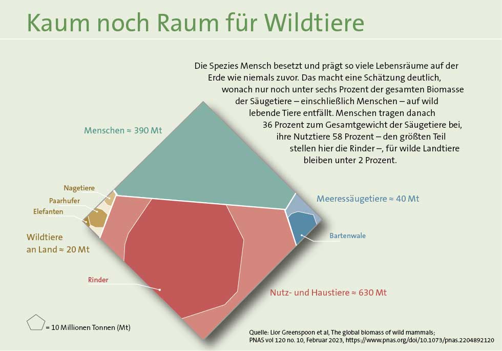 Grafik: In der gesamten Biomasse der Erde ist kaum noch Raum für Wildtiere. Menschen und deren Nutztiere machen den größten Teil der Biomasse aus. 